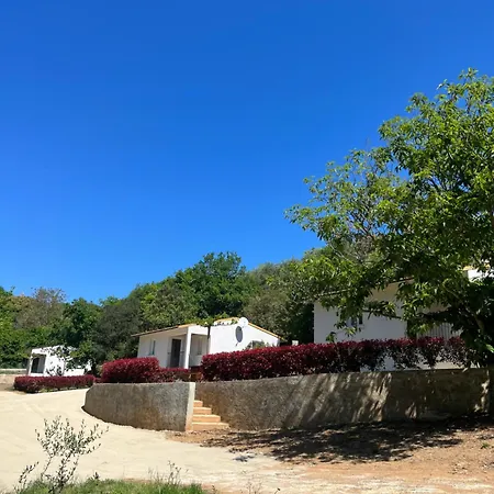 فيلة T3 N2